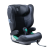 ceres_black_grey_Obszar roboczy 1 kopia 3.png