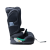 ceres_black_grey_Obszar roboczy 1 kopia 4.png