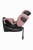 aurora_pink_low-res (2).jpg