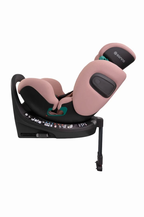 aurora_pink_low-res (2).jpg
