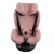 aurora_pink_low-res (12).jpg