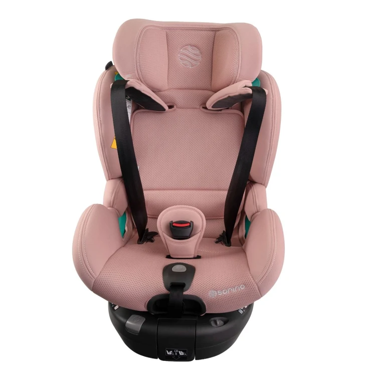 aurora_pink_low-res (12).jpg