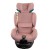 aurora_pink_low-res (13).jpg