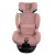 aurora_pink_low-res (14).jpg