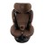 aurora_chocolate_low_res (16).jpg