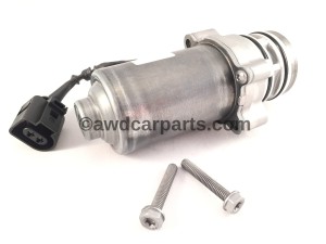 31367750 (1) wm.jpeg