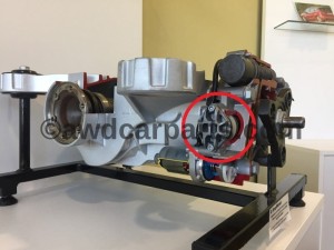 4 gen VAG (4)_wm.jpg