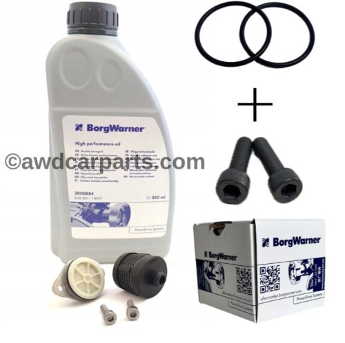 BorgWarner.png